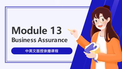 Module 13 - Business Assurance