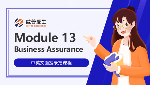 Module 13 - Business Assurance