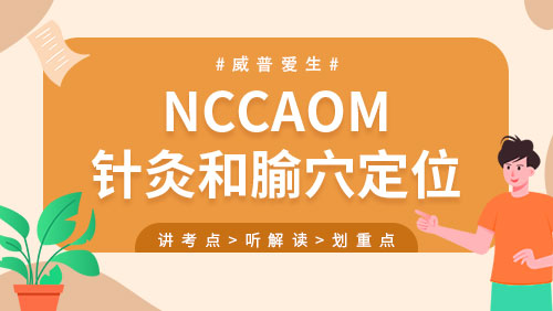 NCCAOM-针灸和腧穴定位