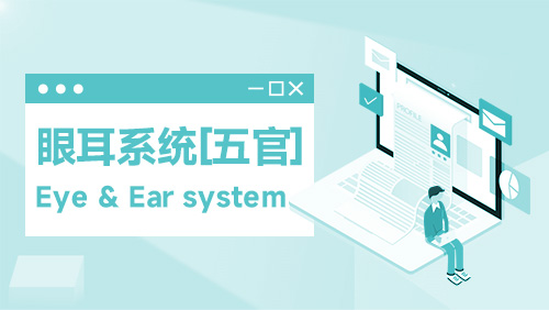 眼耳系统（五官） Eye & Ear system