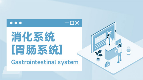 消化系统（胃肠系统） Gastrointestinal system