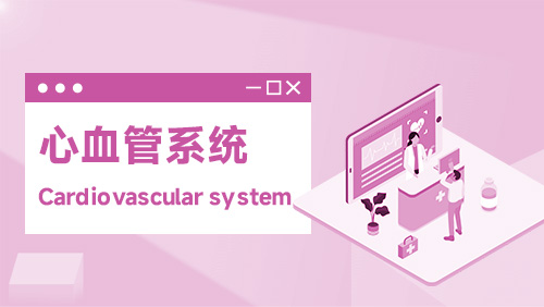 心血管系统 Cardiovascular system