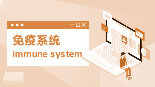 免疫系统 Immune system
