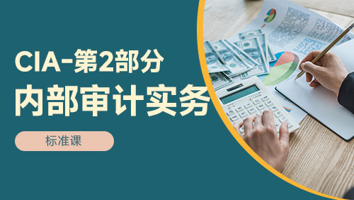 CIA - 第2部分：内部审计实务 - 标准课