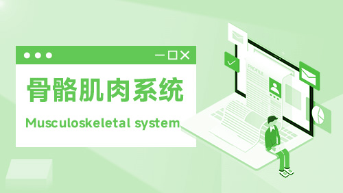 骨骼肌肉系统 Musculoskeletal system