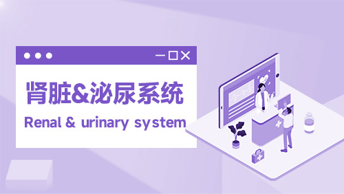 肾脏&泌尿系统 Renal & urinary system