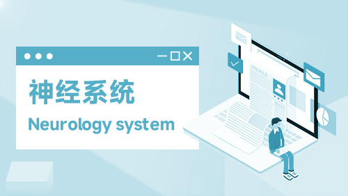 神经系统 Neurology system